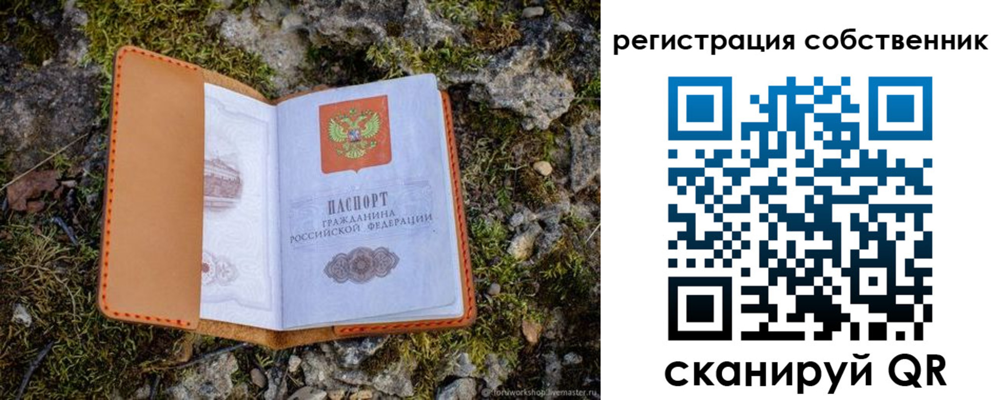 прописка поиск в Зернограде